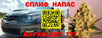 прущие грибы Беслан