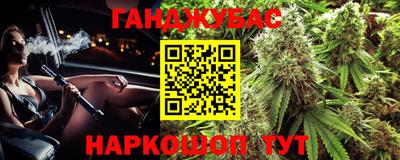 шишки Бийск