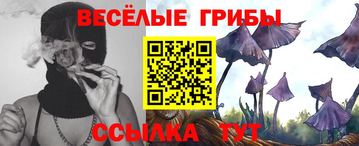 Будённовск  Галлюциногенные грибы ЛСД  Псилоцибиновые грибы Psilocybine cubensis  хочу   Вход с VPN 