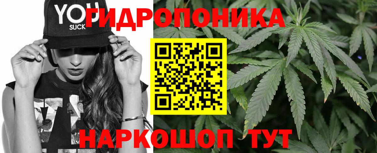 Каннабис план Будённовск